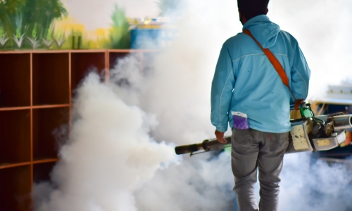 mosquito control services in Yadadri Bhuvanagiri